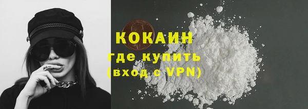 дурь Бронницы