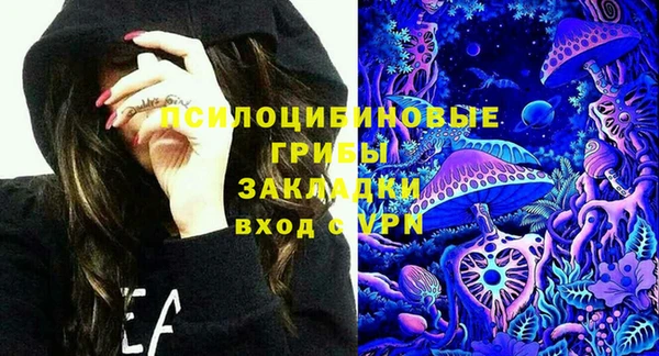 apvp Богданович