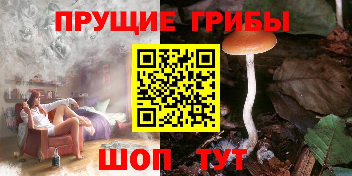 Галлюциногенные грибы Psilocybine cubensis Урюпинск