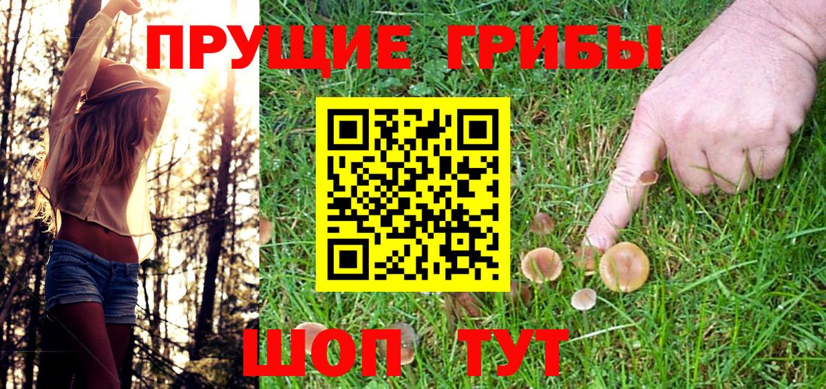 наркотики  Урюпинск  Галлюциногенные грибы Psilocybe 