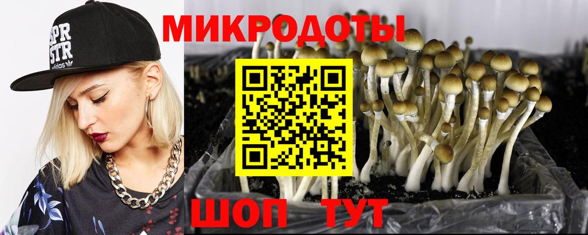 где продают наркотики  Галлюциногенные грибы Psilocybe  Вход с VPN  Урюпинск 